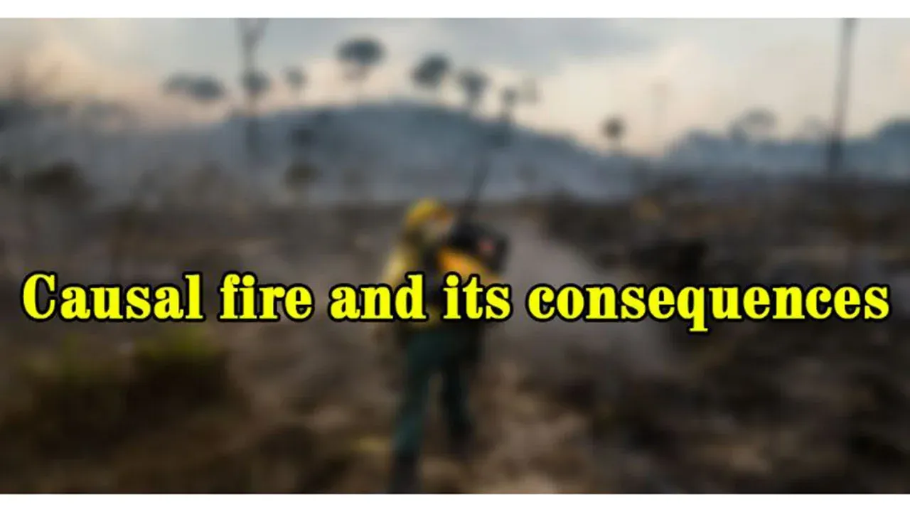 Causal fire and its consequences